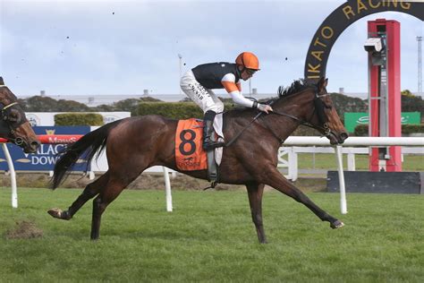 nz horse racing results|New Zealand Horse Racing Statistics and Information .